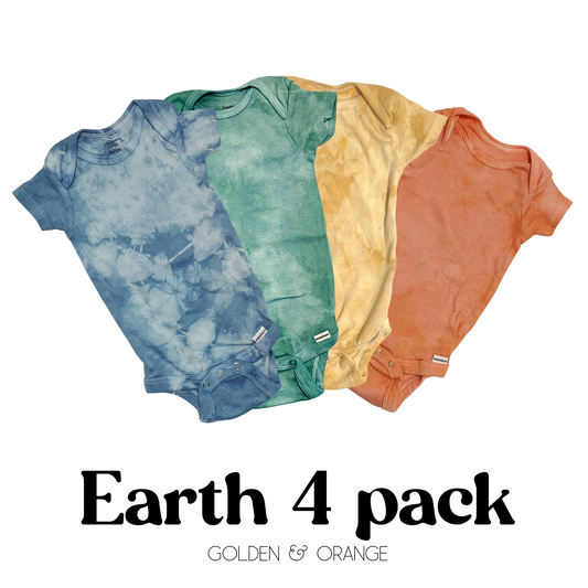 Earth Baby Bodysuit 4 PACK